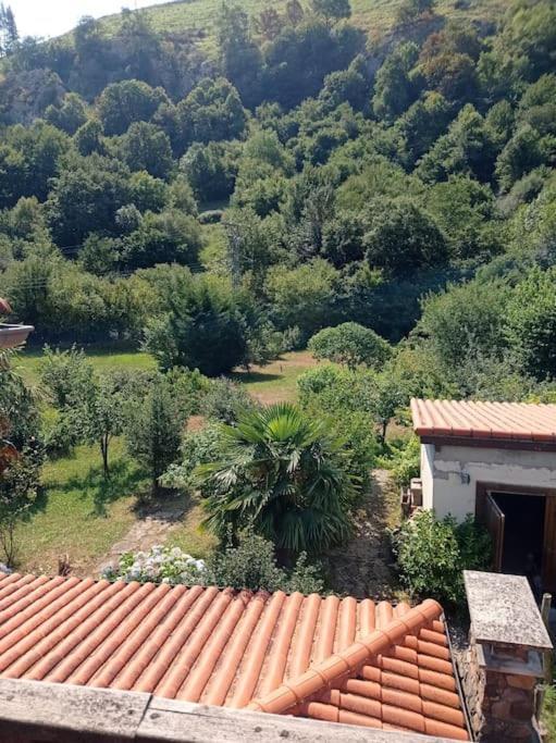 Amplia Y Comoda Casa De Piedra Con Porche Y Jardin Vakantiehuis San Roque de Ríomiera