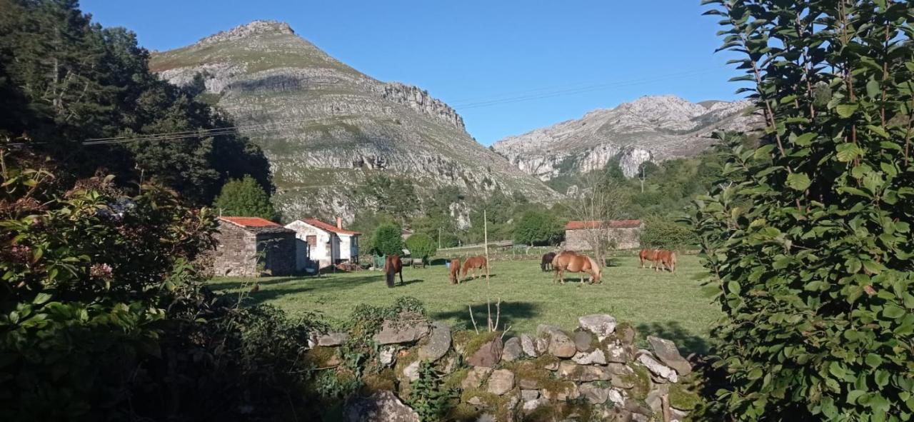 Amplia Y Comoda Casa De Piedra Con Porche Y Jardin Vakantiehuis