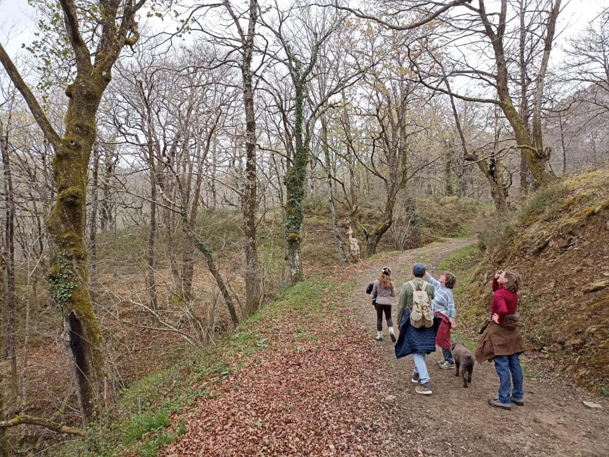 Vakantiehuis Amplia Y Comoda Casa De Piedra Con Porche Y Jardin